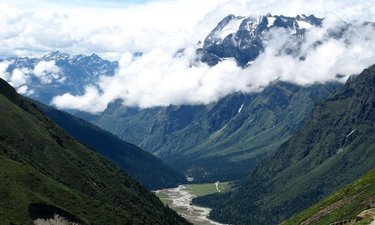 Thanks, Source of picture: By Joginder Pathak - Flickr: Yumthang, CC BY-SA 2.0, https://commons.wikimedia.org/w/index.php?curid=29896272