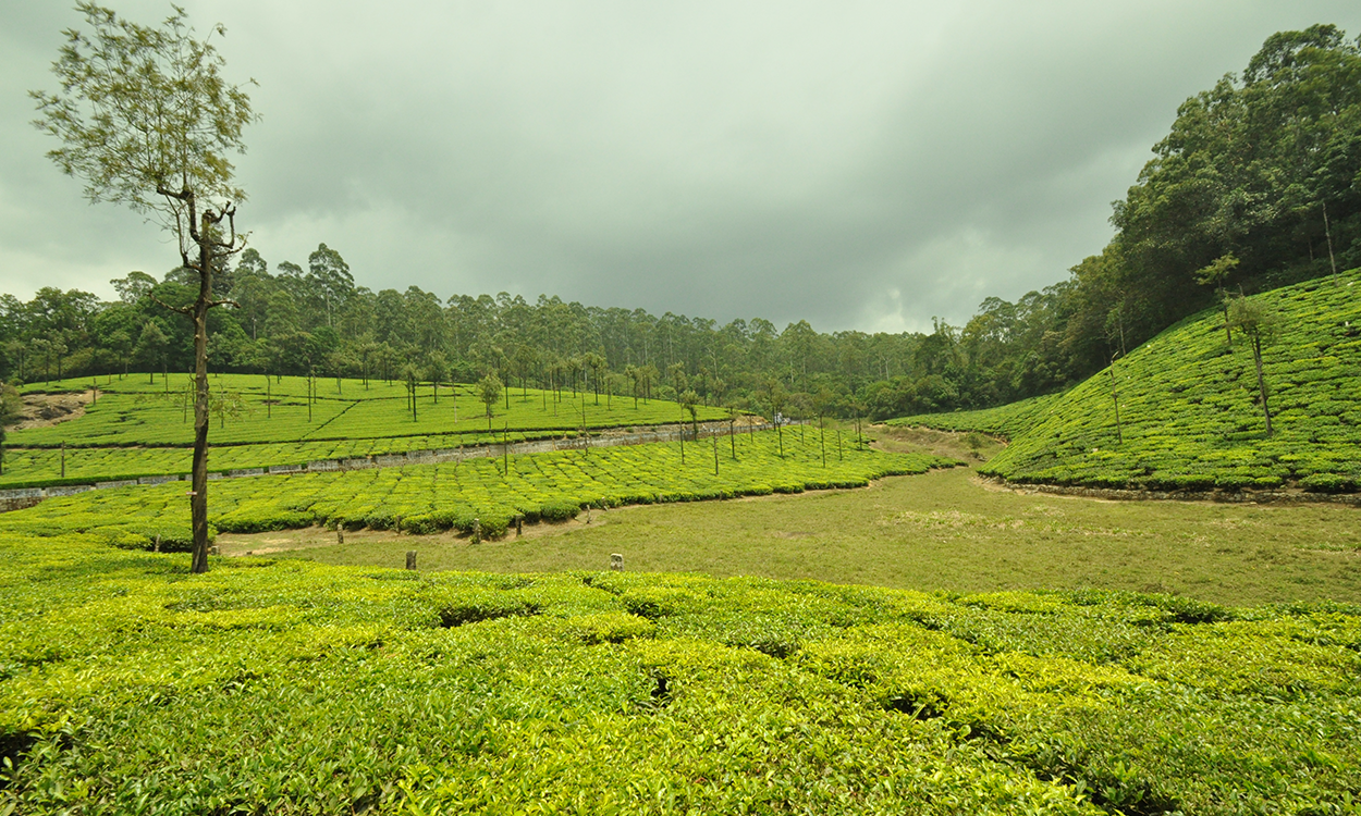 Photography by Samrat