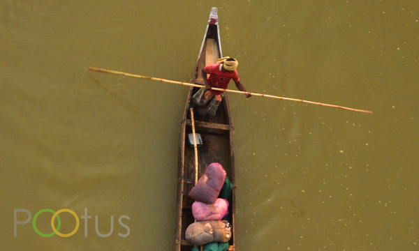Bird eye view, West Bengal, India
