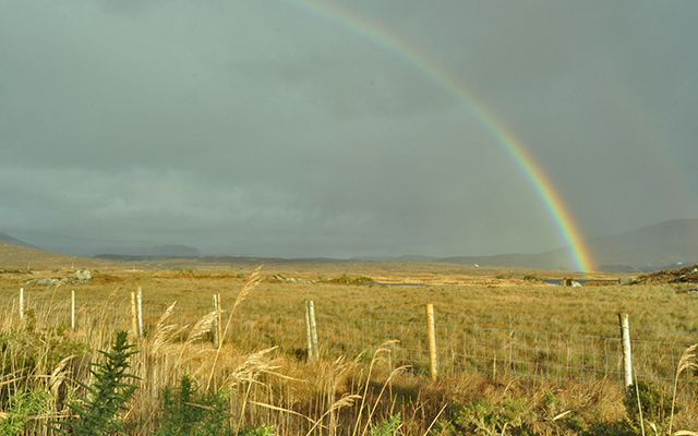 The Natural Beauty Ireland