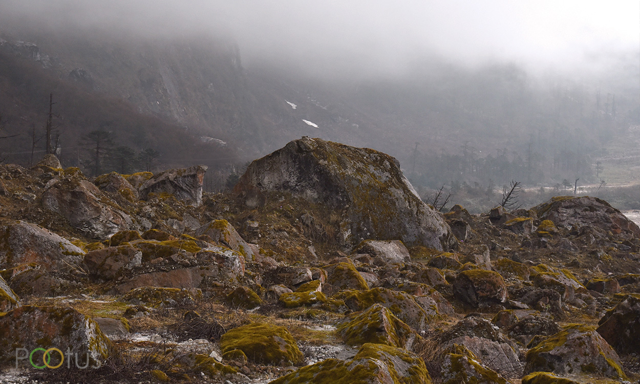 Yumthang Valley